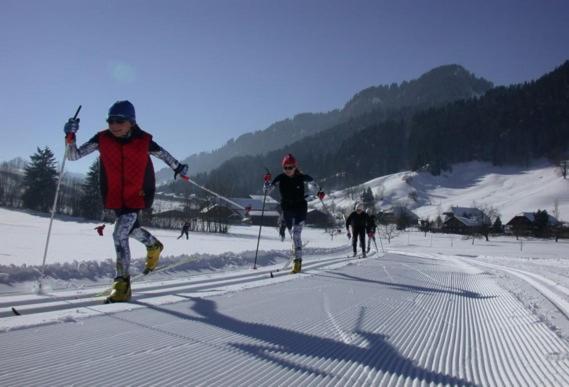 Realp-Andermatt 3,5 Locali Giardino Privato In Mezzo La Natura, Spettacolare Per Appassionati Montanbike, Pesca Ecc In Inverno Fai Sci Di Fondo Dal Giardino E Con Il Treno Davanti A Casa Si Raggiunge In 5Min Il Comprensorio Scistico Di Andermatt Exterior foto